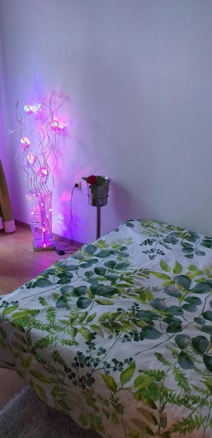 Aphrodite Rose Slantchev Briag Extérieur photo
